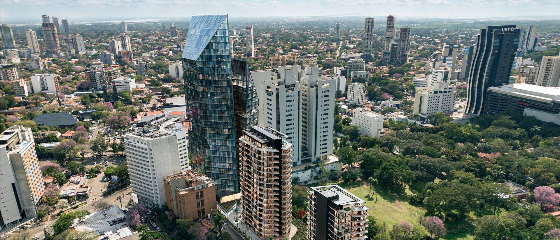 Aerial view of Link Center among the lapacho trees of Asunción